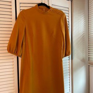 Ann Taylor Puff Sleeve Autumn Mini Dress (Size 6 Petite)
